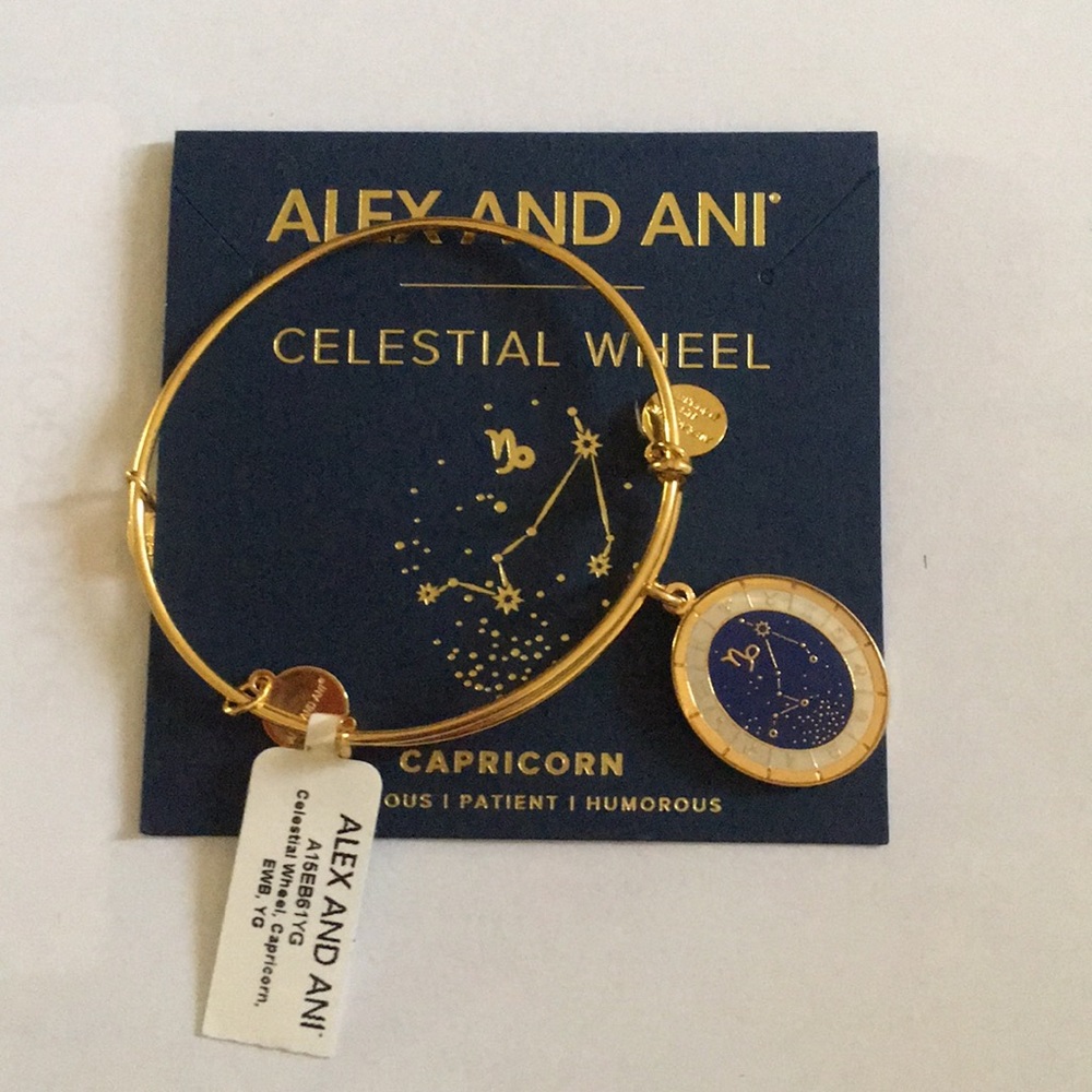 Alex and Ani Bracelet NWT